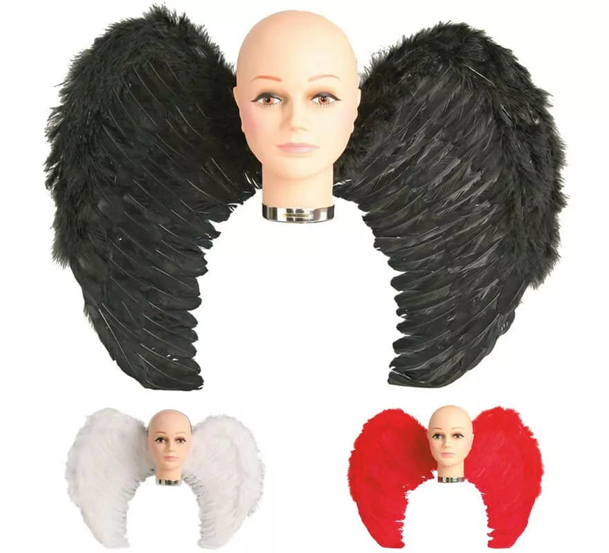 Translation missing: es.Alas con plumas en varios colores 65 x 50 cm