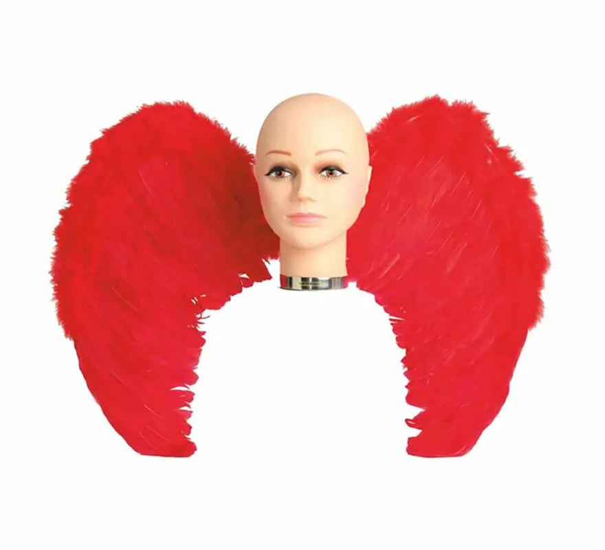 Translation missing: es.Alas con plumas en varios colores 65 x 50 cm