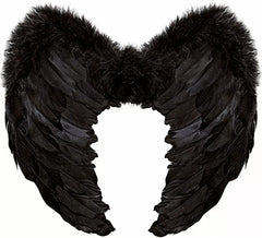 Alas de Plumas Negras de 50x40 cm