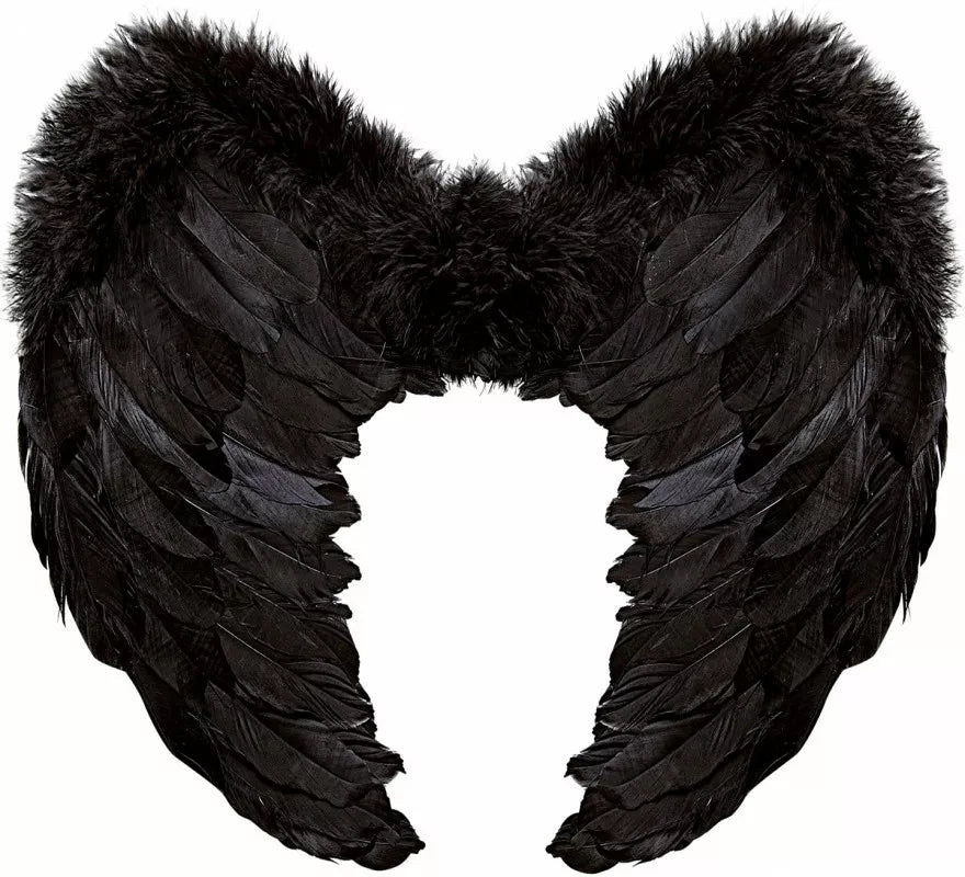 Translation missing: es.Alas de Plumas Negras de 50x40 cm