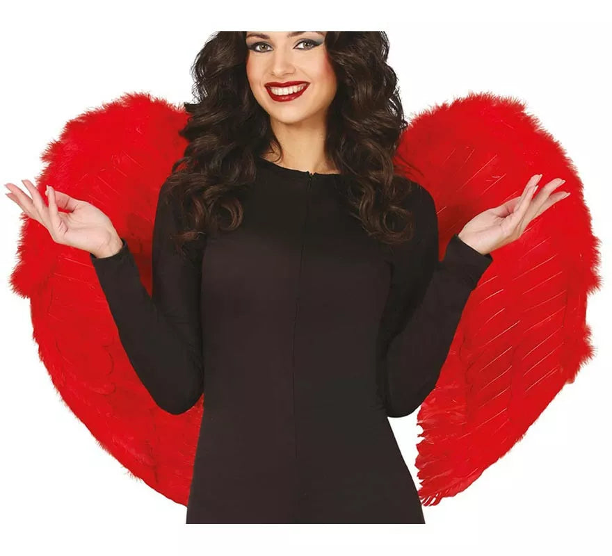Translation missing: es.Alas de Plumas rojas 80x55 cm