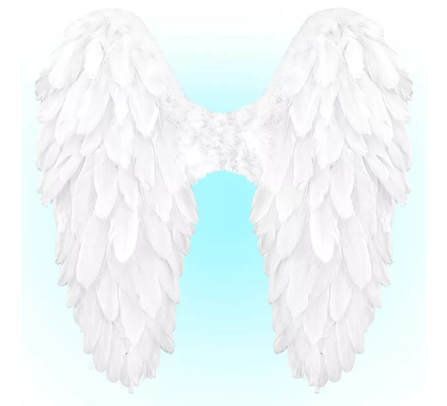 Translation missing: es.Alas Plegables de Plumas de 50x50 cm en varios colores