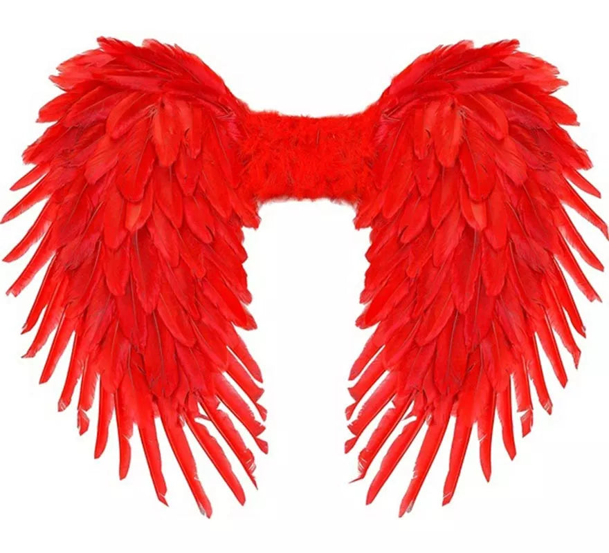 Translation missing: es.Alas Plegables de Plumas de 80x60 cm en varios colores