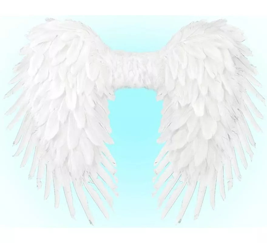 Translation missing: es.Alas Plegables de Plumas de 80x60 cm en varios colores