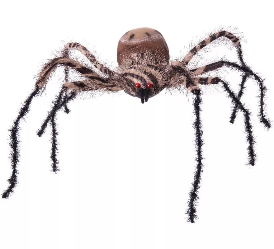 Translation missing: es.Araña Cebra Grande de 54x44x10 cm