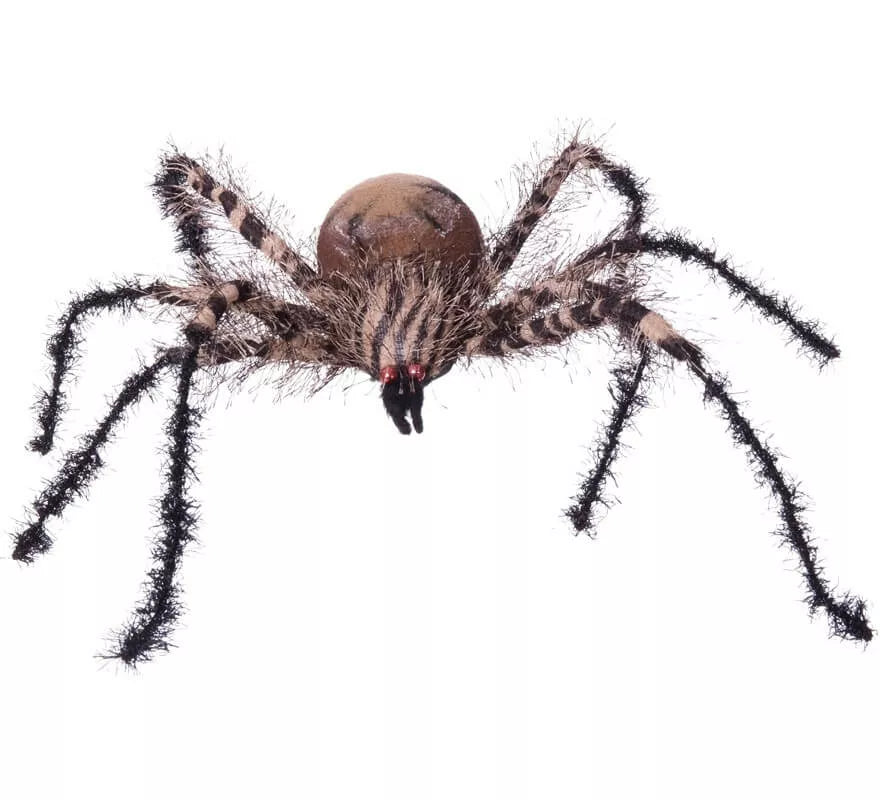 Translation missing: es.Araña Cebra Pequeña de 38x34x8 cm