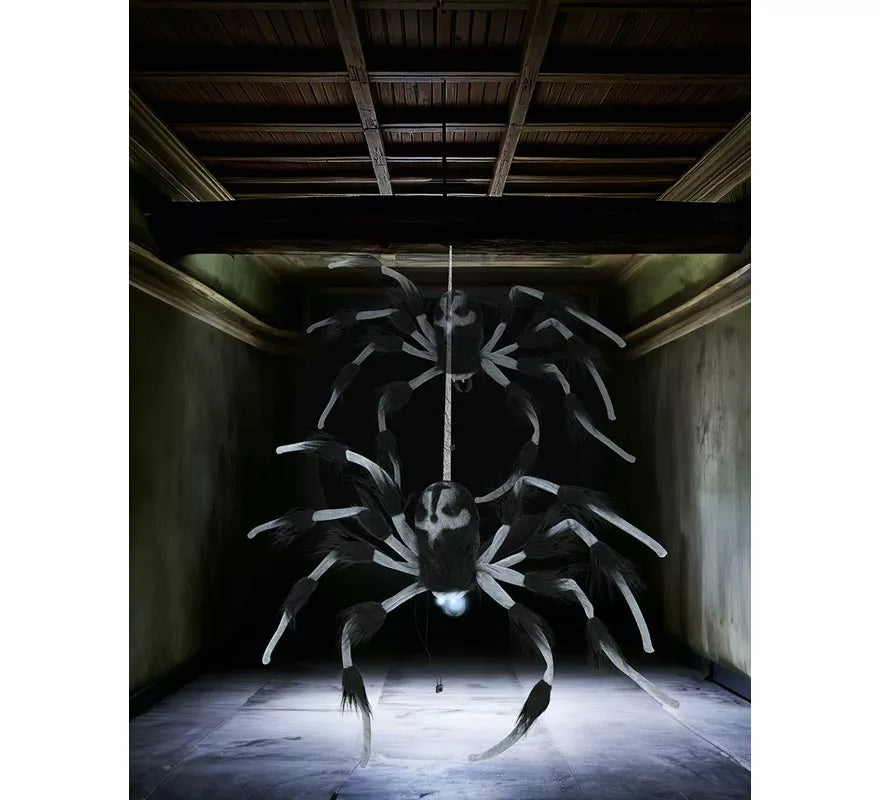Araña con Luz de Sonido y Movimiento de 80 cm