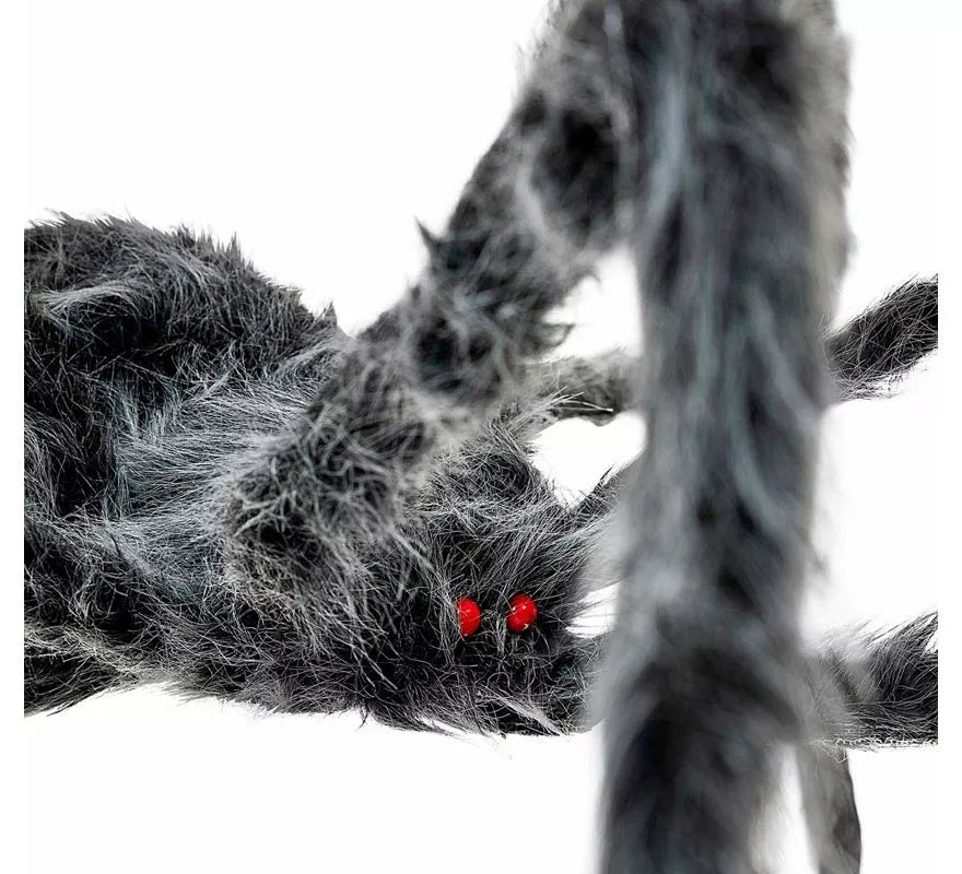 Translation missing: es.Araña gris patas largas y finas de 80x18x8 cm