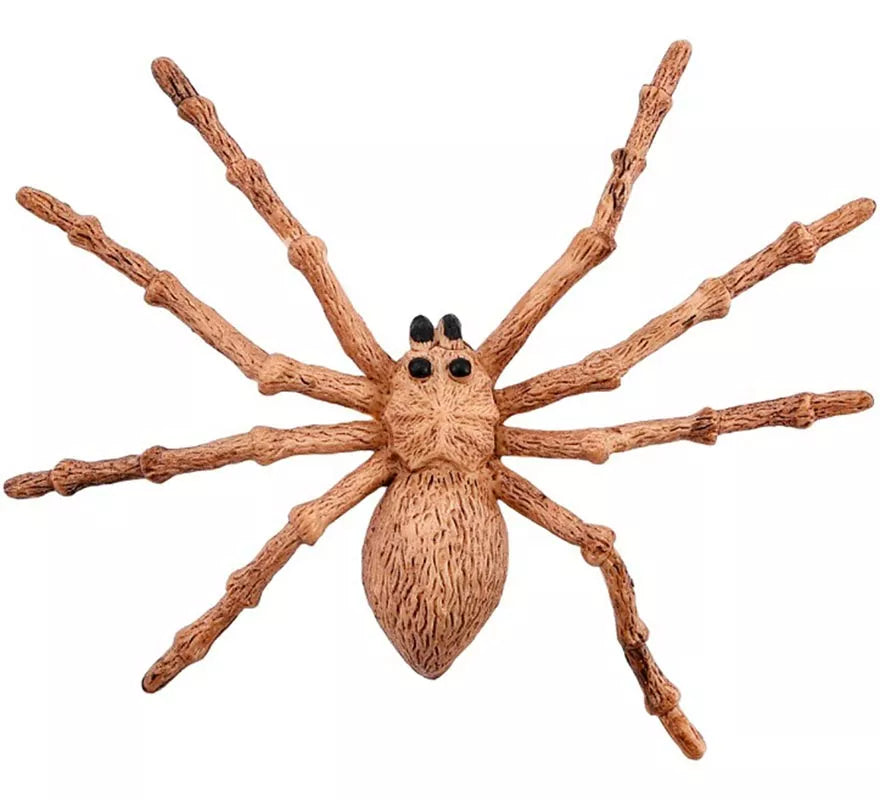 Translation missing: es.Araña marrón 15x11.5 cm