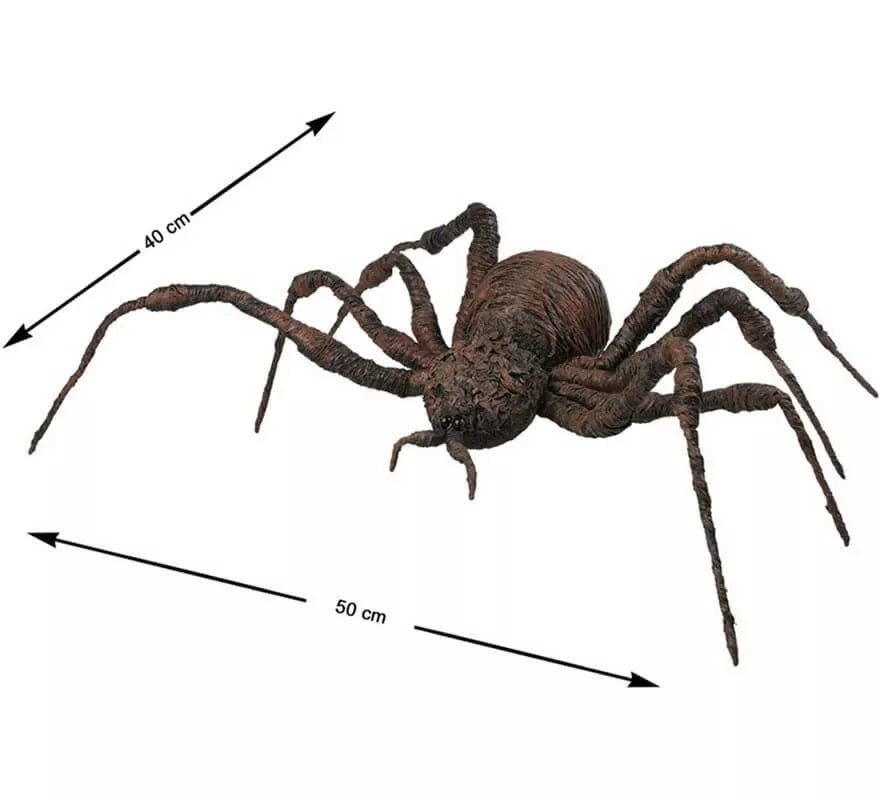 Translation missing: es.Araña Marrón de 50x40 cm