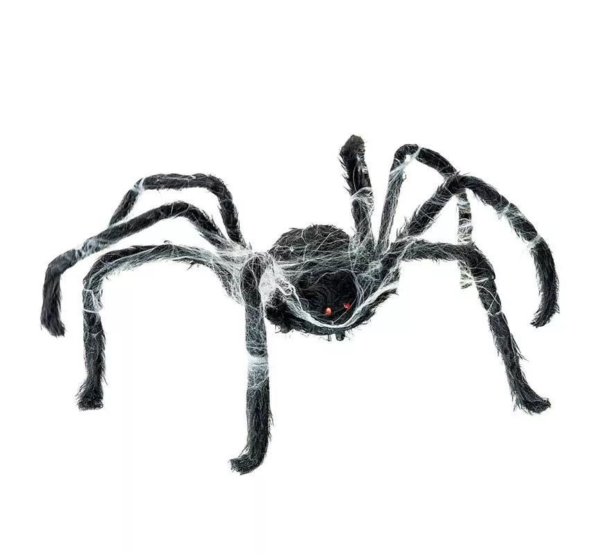 Translation missing: es.Araña negra Caminante con telaraña de 80x18x8 cm