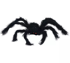 Araña negra de 30 cm