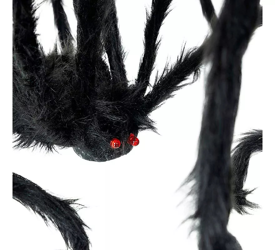 Translation missing: es.Araña negra patas finas de 28x43 cm