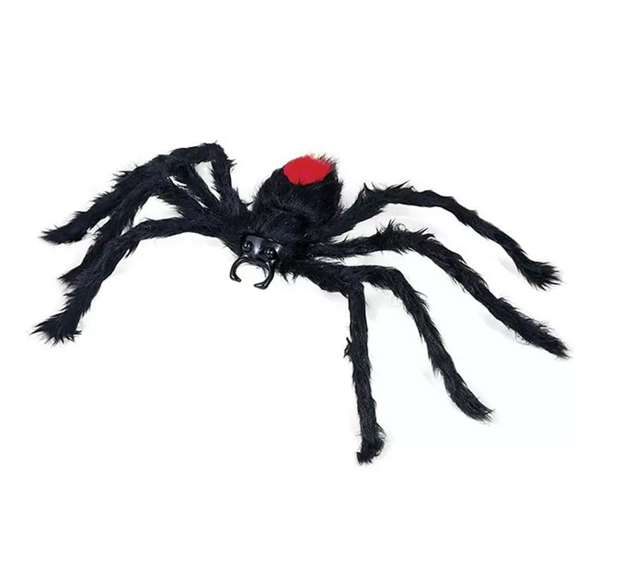 Translation missing: es.Araña Peluda negra lomo rojo de 60 cm