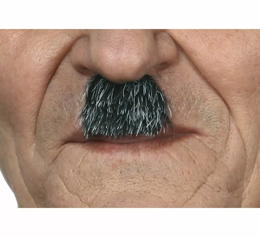 Translation missing: es.Bigote de Charlot canoso