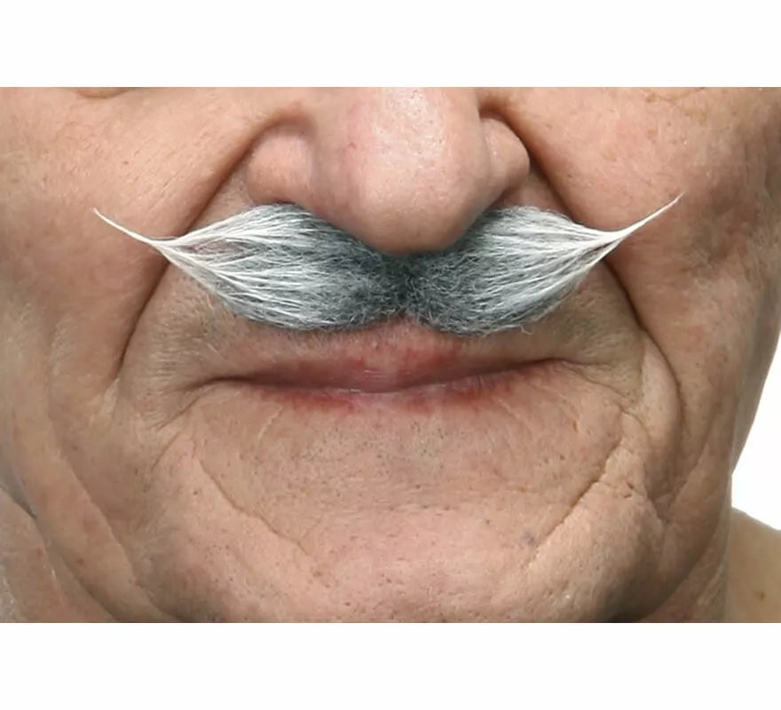 Translation missing: es.Bigote de Época canoso