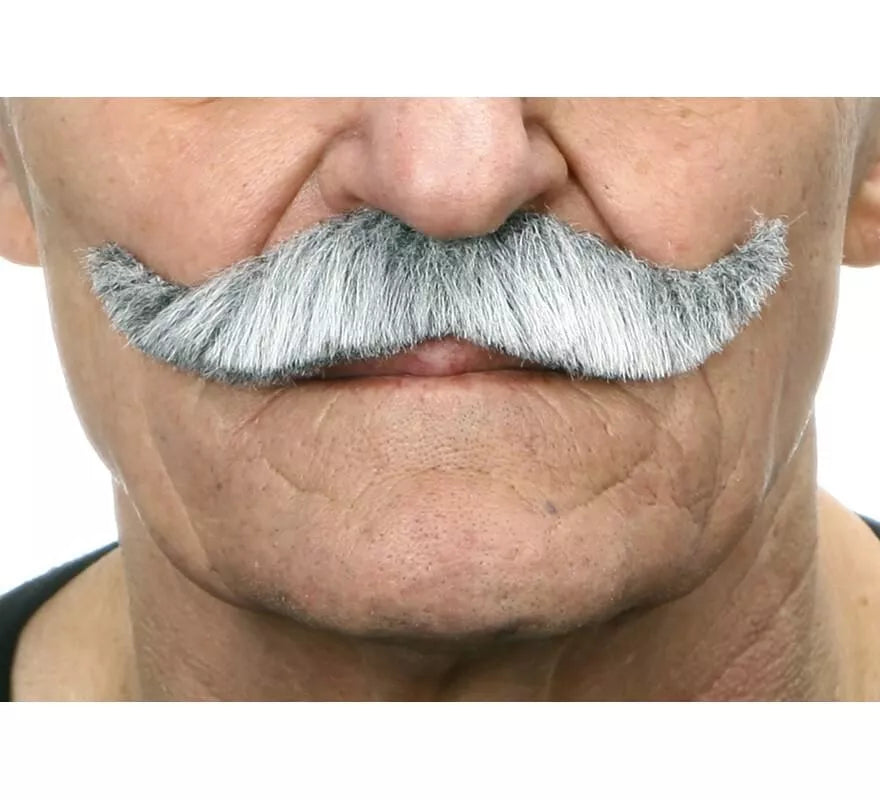 Translation missing: es.Bigote de Inglés canoso
