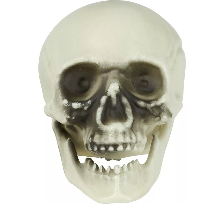 Translation missing: es.Bolsa 6 Calaveras de 6 cm