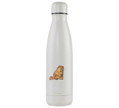 Botella Hermione Harry Potter Manga de 500 ml