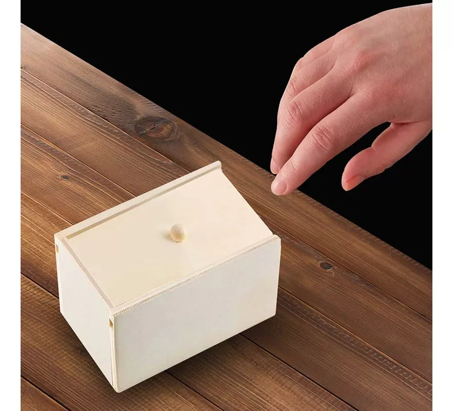 Translation missing: es.Caja de Madera con Araña de Broma