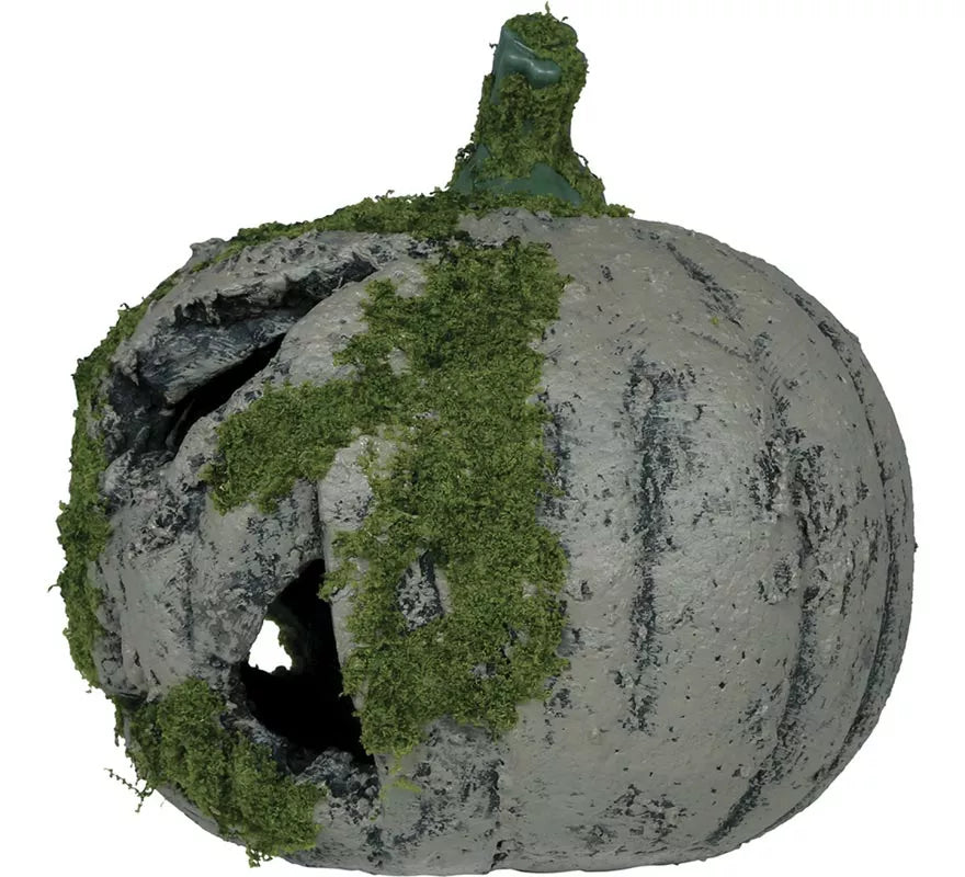 Translation missing: es.Calabaza con Musgo y Luz de 20 cm