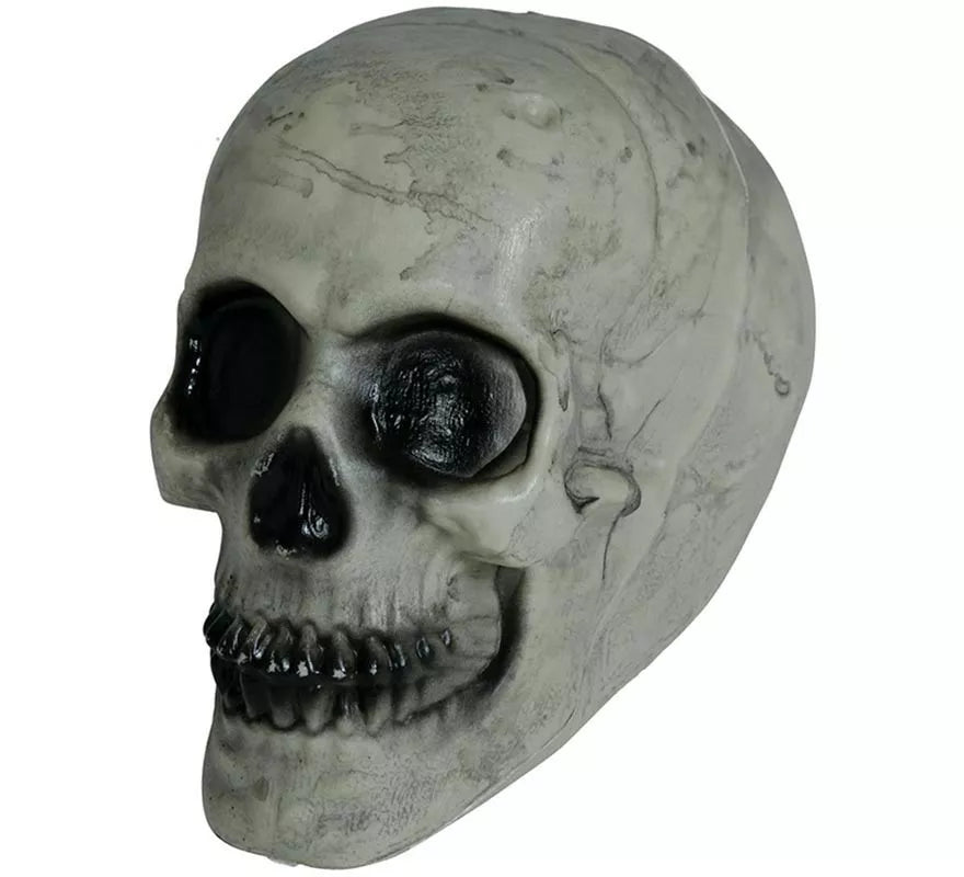 Translation missing: es.Calavera 20 cm