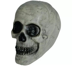 Calavera 20 cm