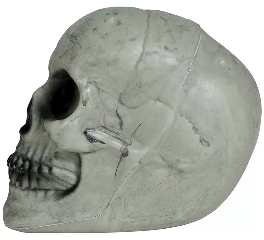 Translation missing: es.Calavera 20 cm