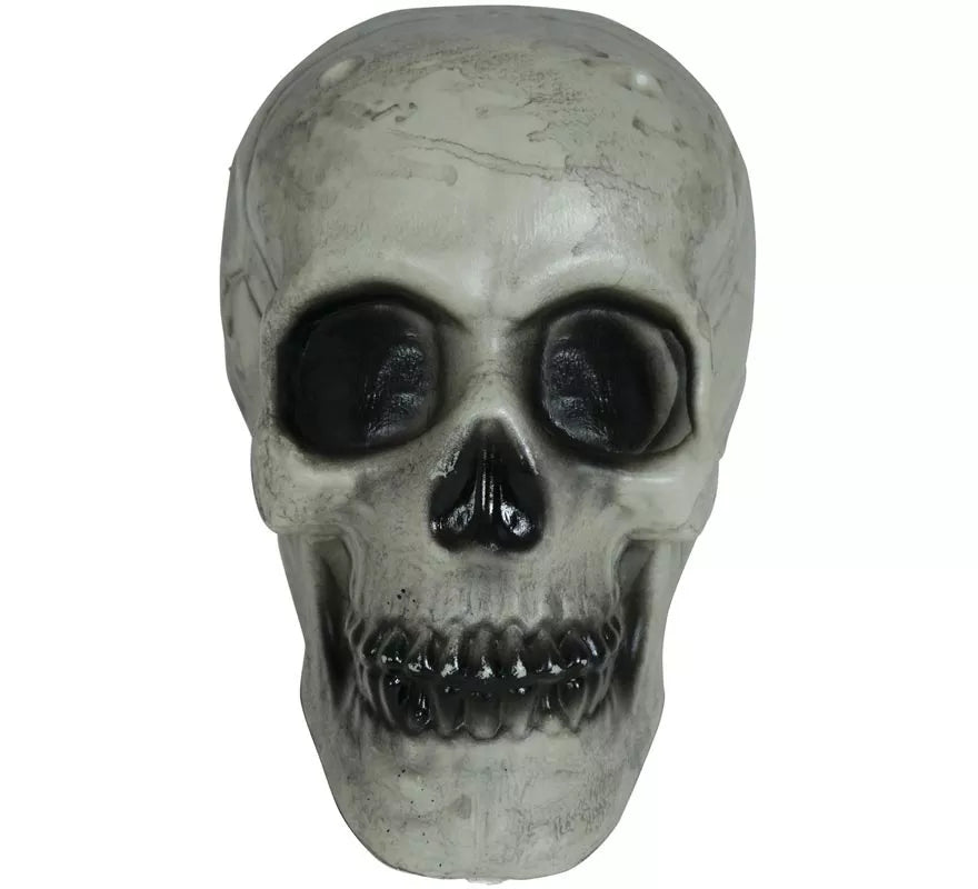 Translation missing: es.Calavera 20 cm