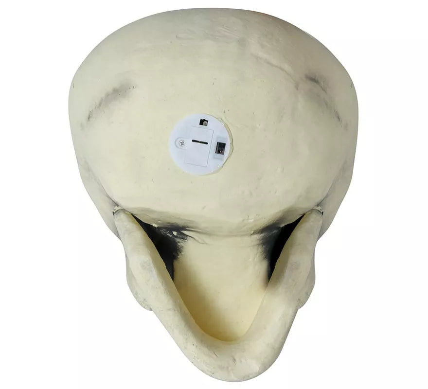 Translation missing: es.Calavera 32 cm de Foam