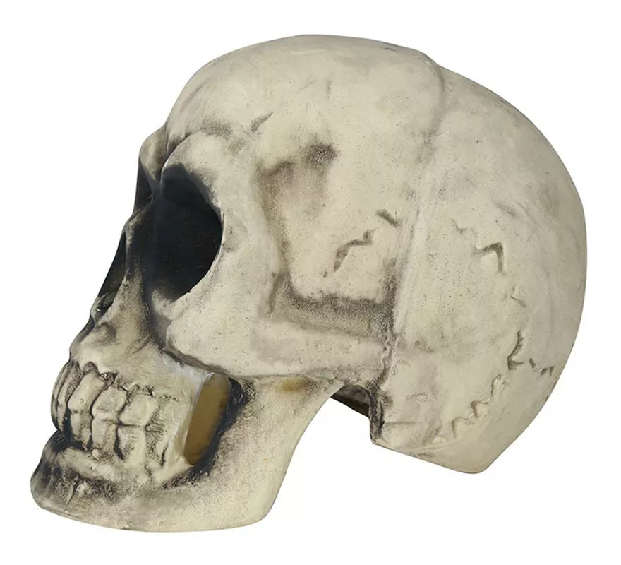 Translation missing: es.Calavera 32 cm de Foam