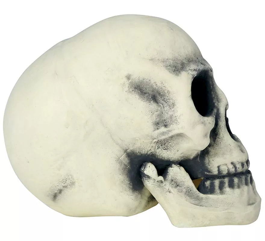 Translation missing: es.Calavera 32 cm de Foam