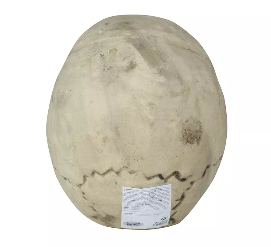 Translation missing: es.Calavera 32 cm de Foam