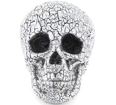 Calavera Agrietado de 20x15 cm