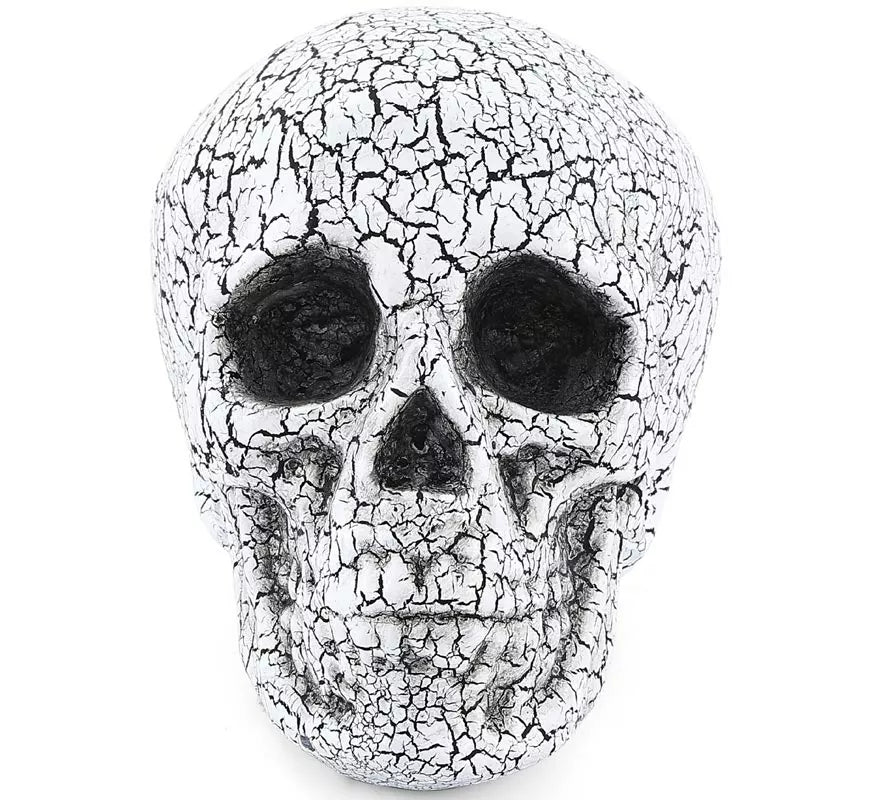 Translation missing: es.Calavera Agrietado de 20x15 cm