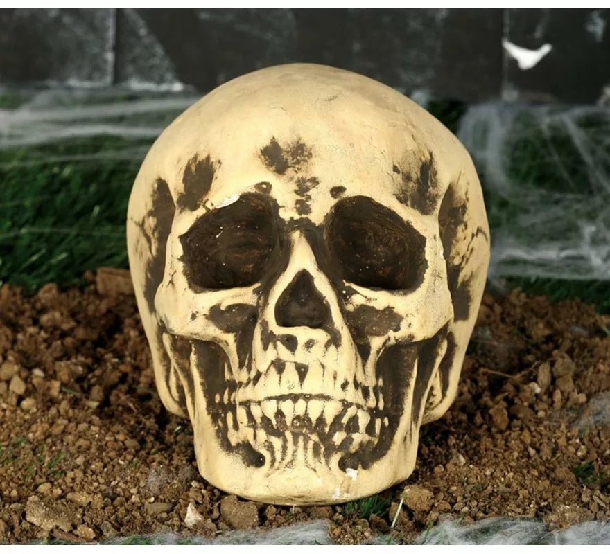 Translation missing: es.Calavera Amarillenta 17 cm