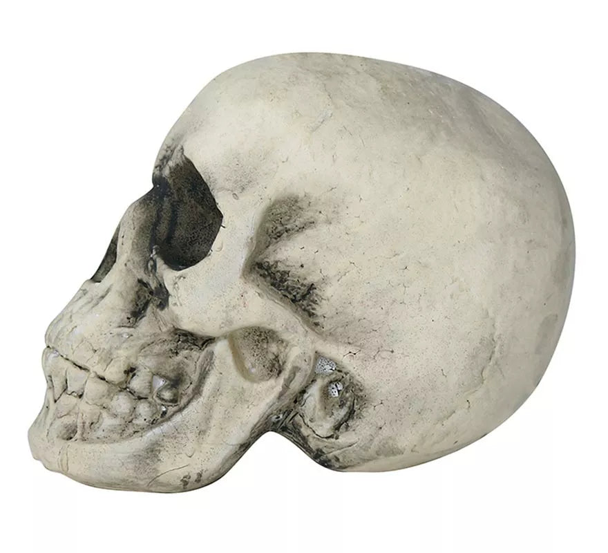 Translation missing: es.Calavera Amarillenta 17 cm