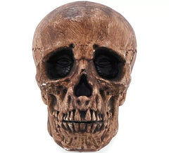Calavera Bronce de 16 cm