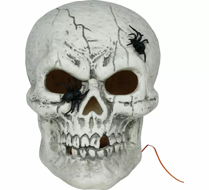 Translation missing: es.Calavera con Arañas con Luz de 35 cm