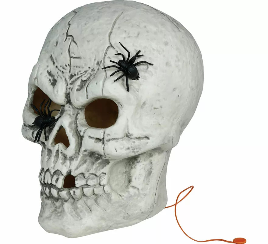 Calavera con Arañas con Luz de 35 cm