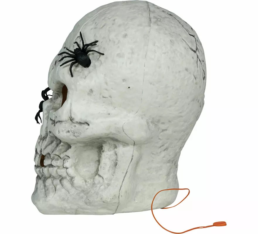 Translation missing: es.Calavera con Arañas con Luz de 35 cm