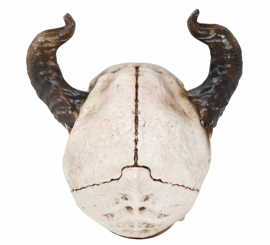 Translation missing: es.Calavera con Cuernos de 20 cm