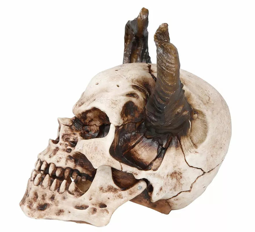 Translation missing: es.Calavera con Cuernos de 20 cm