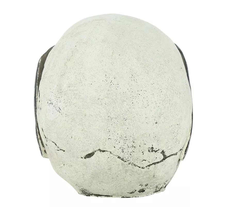 Translation missing: es.Calavera con Gafas Resina 11 cm