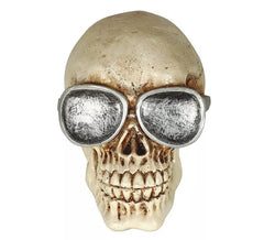 Calavera con Gafas Resina 11 cm