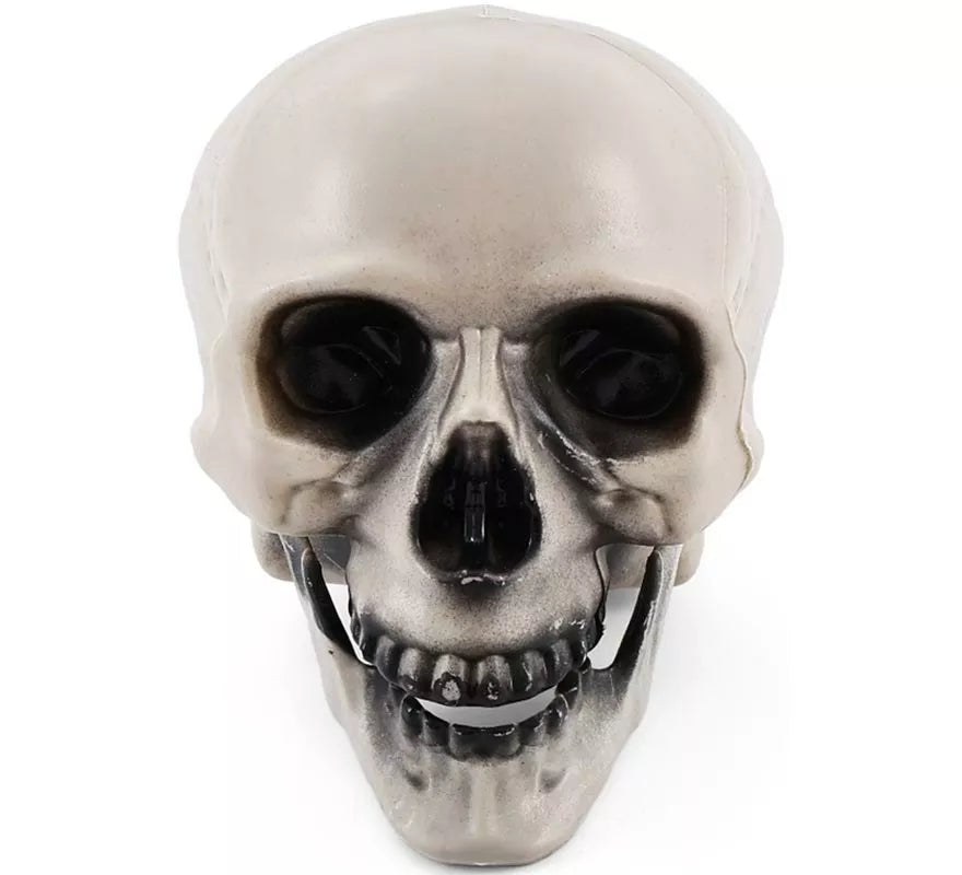 Translation missing: es.Calavera con Mandíbula con Movimiento