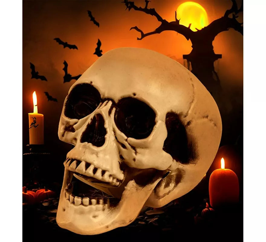 Translation missing: es.Cráneo o Calavera con Mandíbula Móvil de 12 cm