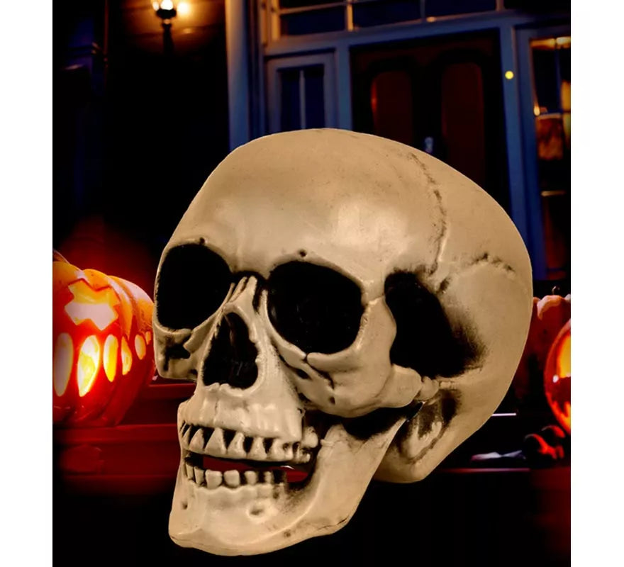 Translation missing: es.Cráneo o Calavera con Mandíbula Móvil de 12 cm