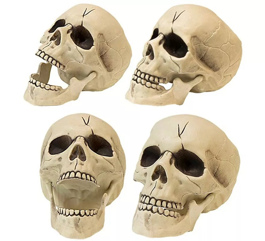 Translation missing: es.Calavera con Mandíbula y Movimiento de Plástico de 21 cm
