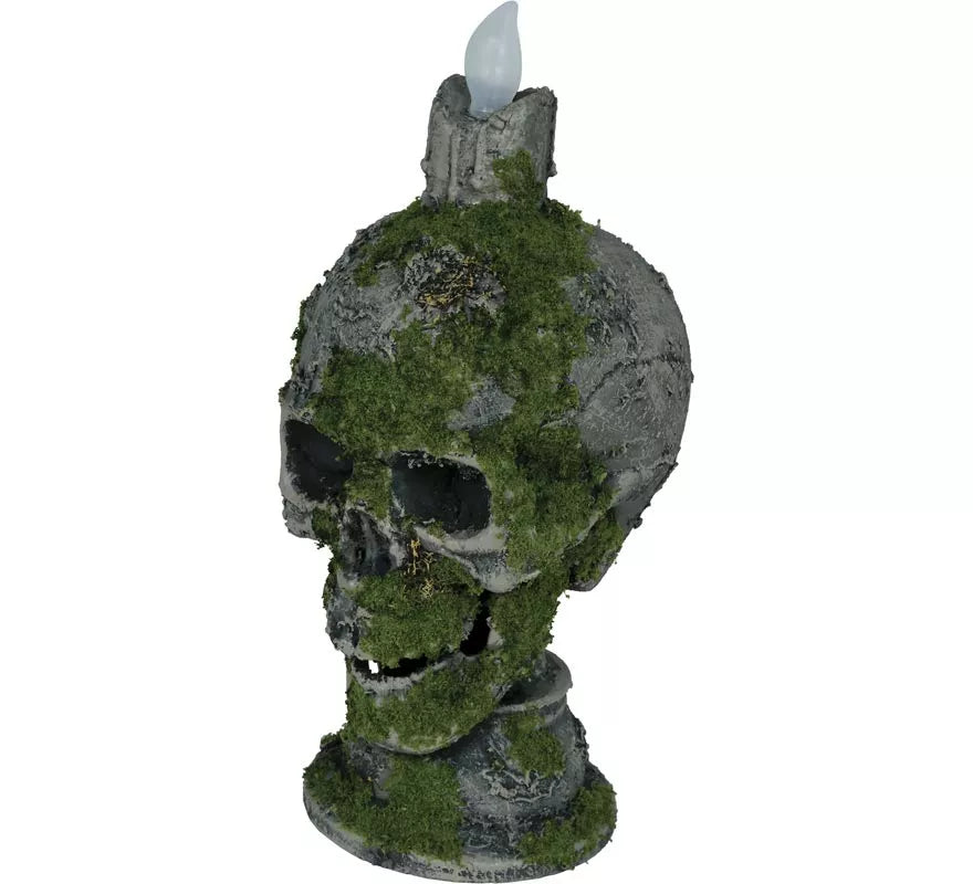 Translation missing: es.Calavera con Vela y Musgo con Luz de 35 cm